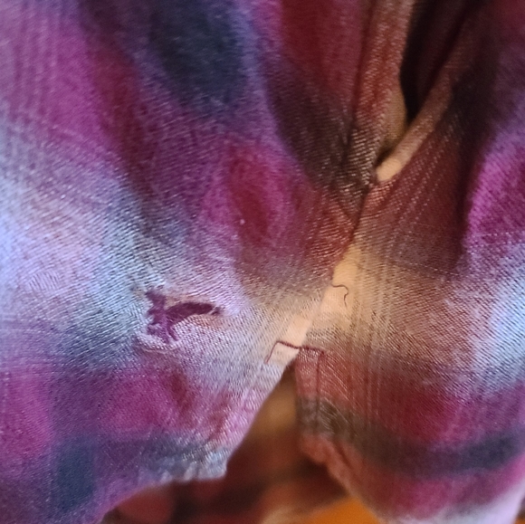 American eagle - Picture 4 of 5